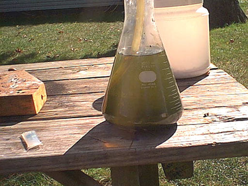 A saturated aqueous solution of hydrogen sulfide to which copper sulfate was added.
